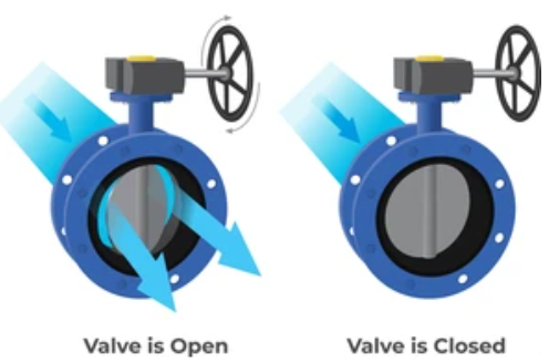Butterfly Valve
